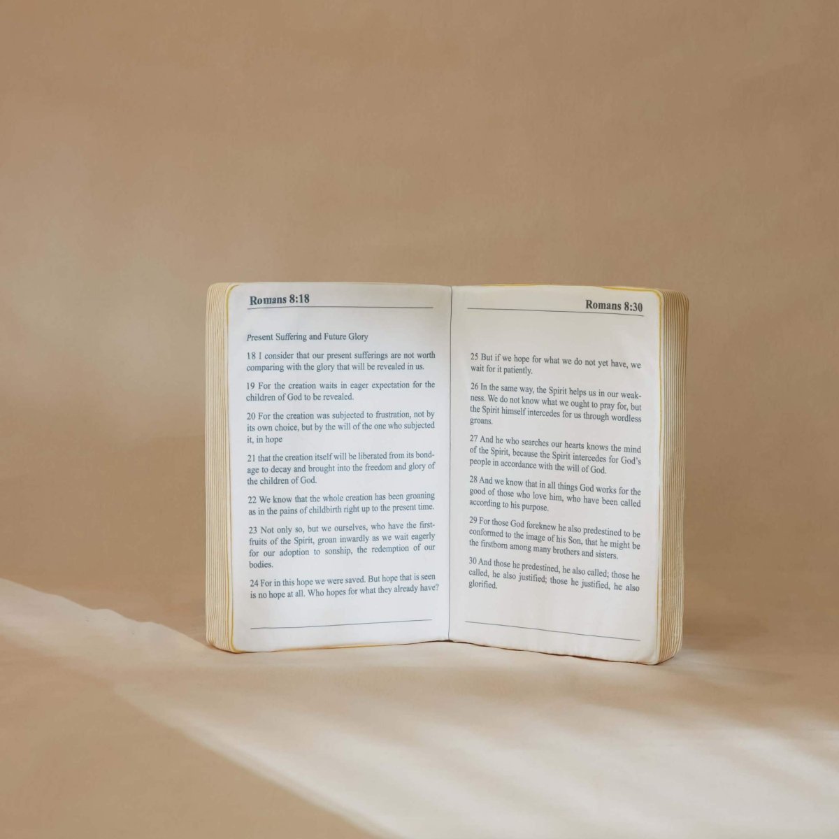 Fete - Fete 'Hope' BIBLE PILLOW - Romans 8