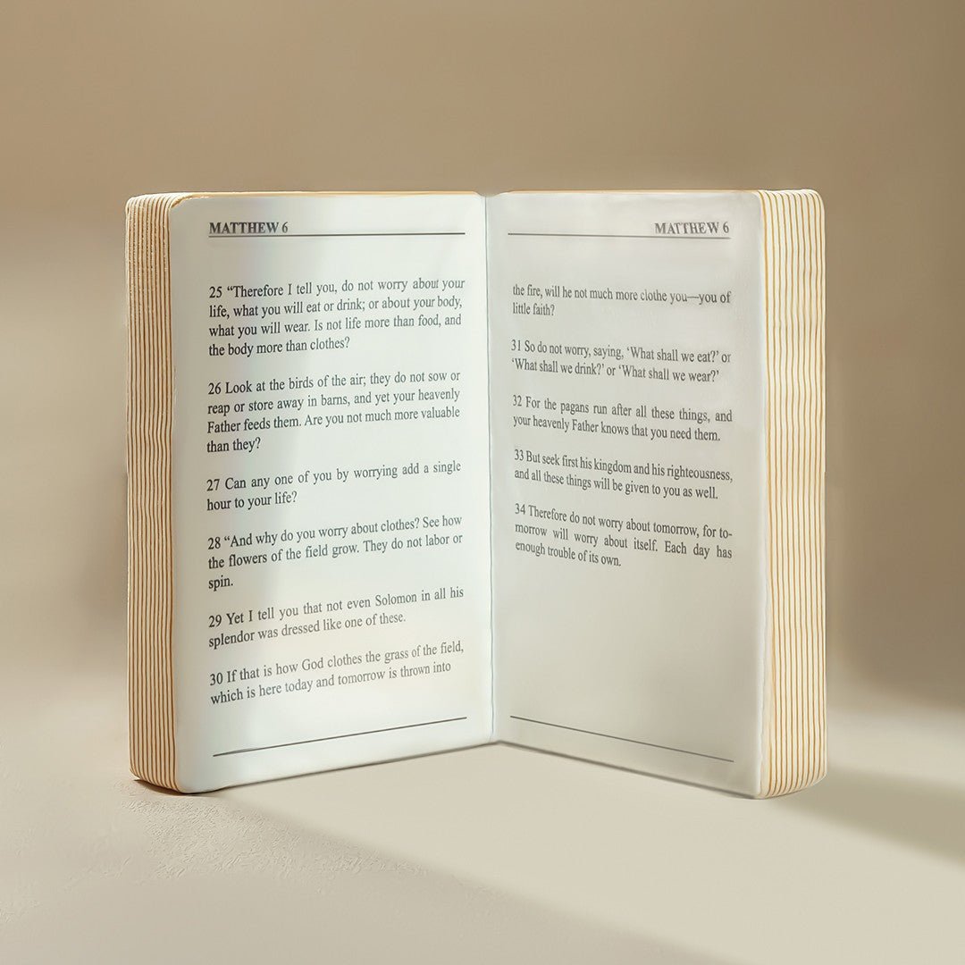 Fete - Fete 'Positive Living' Bible Pillow - Matthew 6