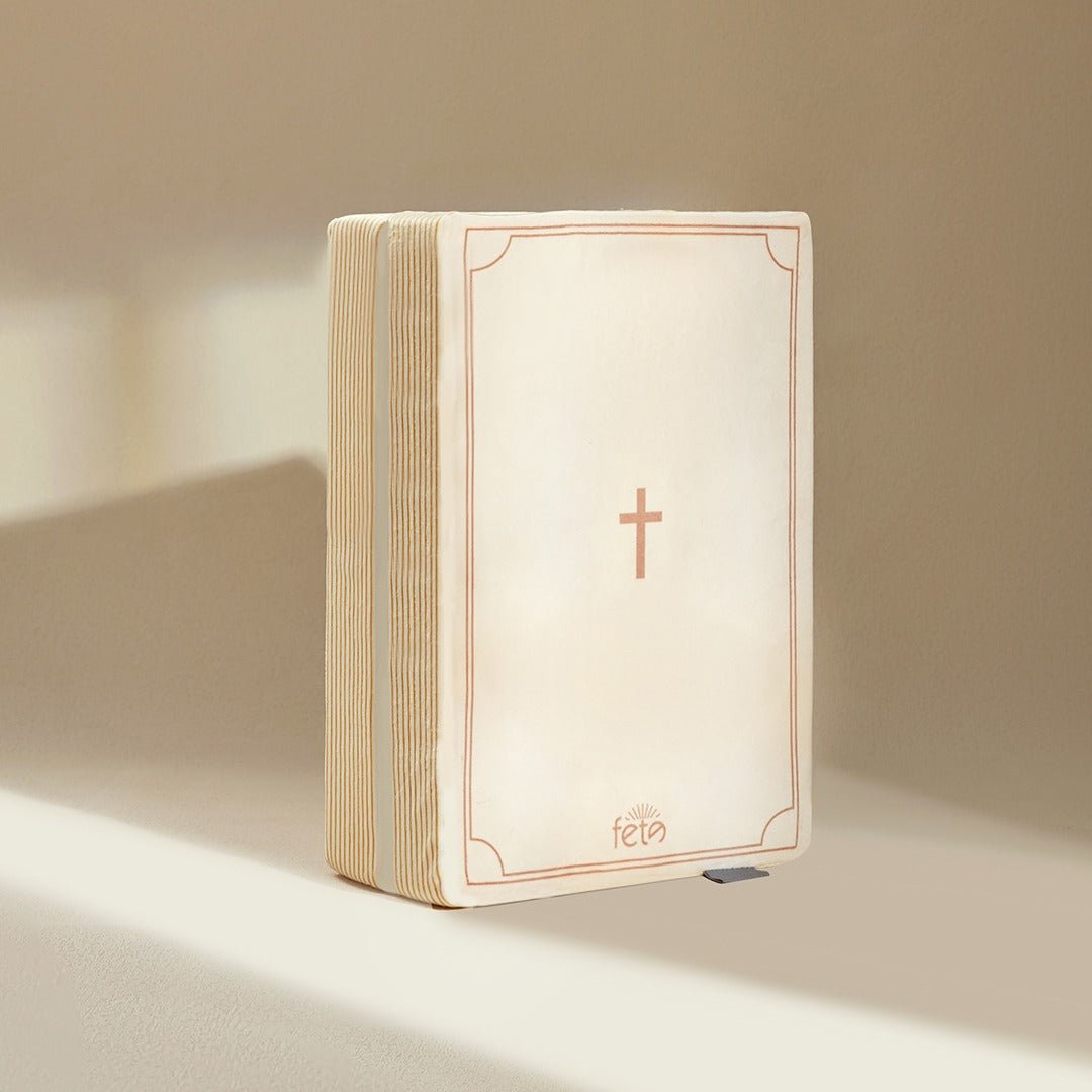 Fete - Fete 'Positive Living' Bible Pillow - Matthew 6
