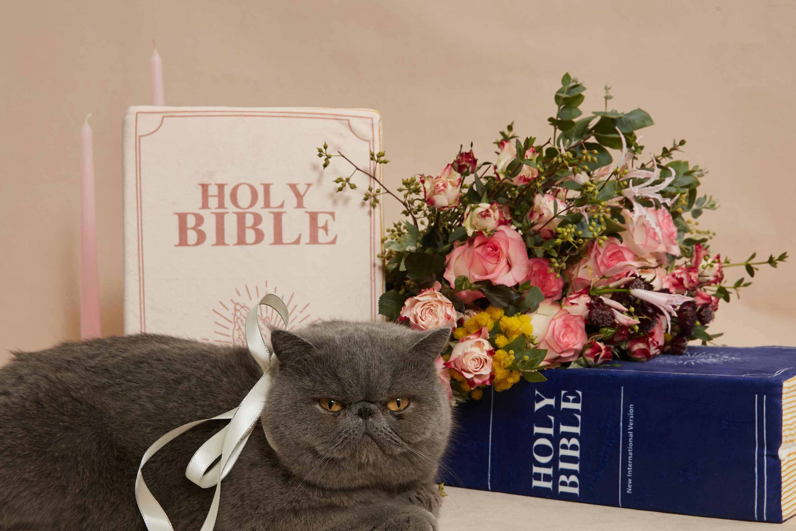 How Should Christians Celebrate Valentine’s Day? - Fete