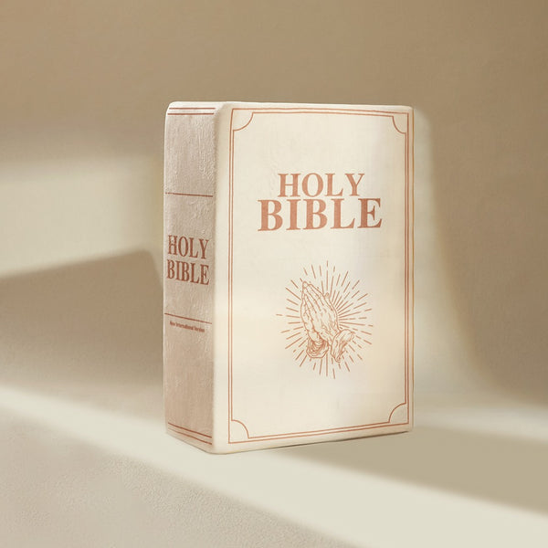 'Positive Living' Bible Pillow
