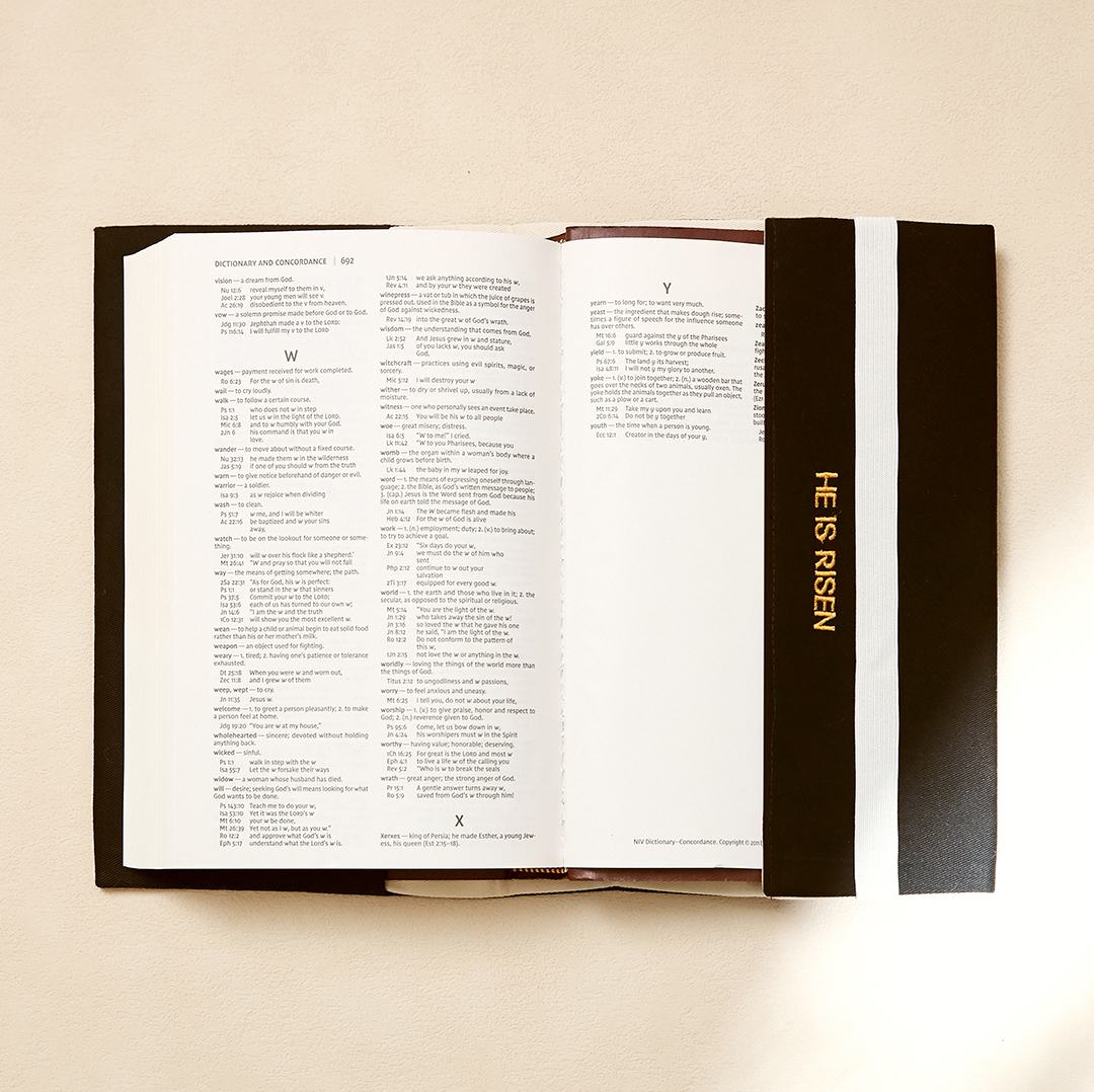 Fete - Angel & Stone Embroidered Bible Cover