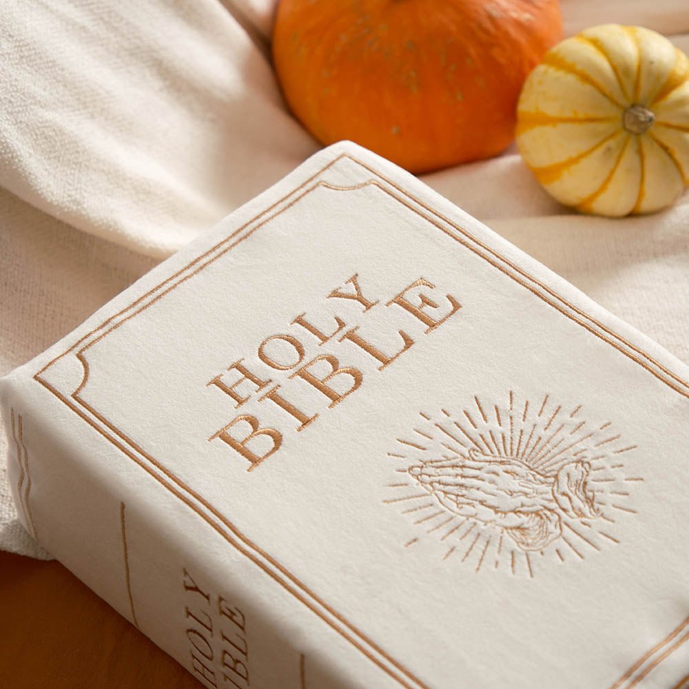 Fete - Fete 'Nativity' Bible Pillow