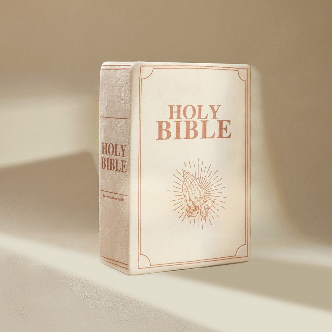 Fete - Fete 'Positive Living' Bible Pillow - Matthew 6